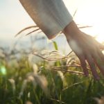 Benefits of Spending More Time in Nature