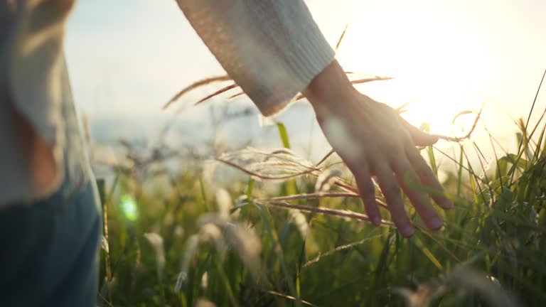 Benefits of Spending More Time in Nature