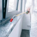 Ladybug Defense LLC Delivering Safe & Effective Pest Treatments