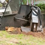 Crane-Assisted Tree Removal Service for Tight Spaces