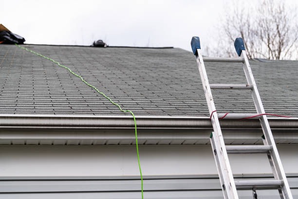 Local Roof Replacement Bellevue Experts You Can Rely On