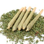 Terp Sourced Pre Rolls Guide for First Time Buyers