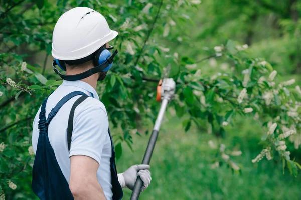 Local Tree Trimming Near Me for Safe Branch and Limb Removal