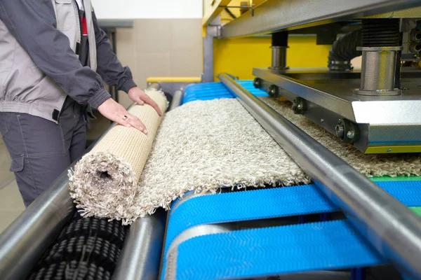 Expert Carpet Cleaning in Lakeview, Chicago Deep Cleaning & Stain Removal