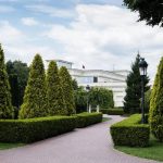 Refresh Your Property With Professional Landscaping Services