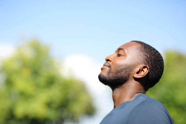Healthy Eating Habits for Long-Term Wellness and Energy