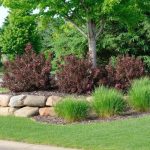 Expert Lawn Treatments for Healthier Green Grass