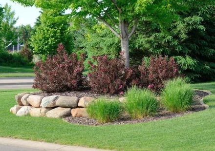 Expert Lawn Treatments for Healthier Green Grass