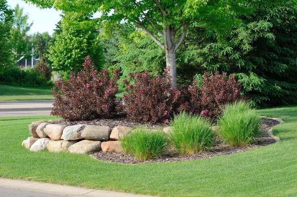 Expert Lawn Treatments for Healthier Green Grass